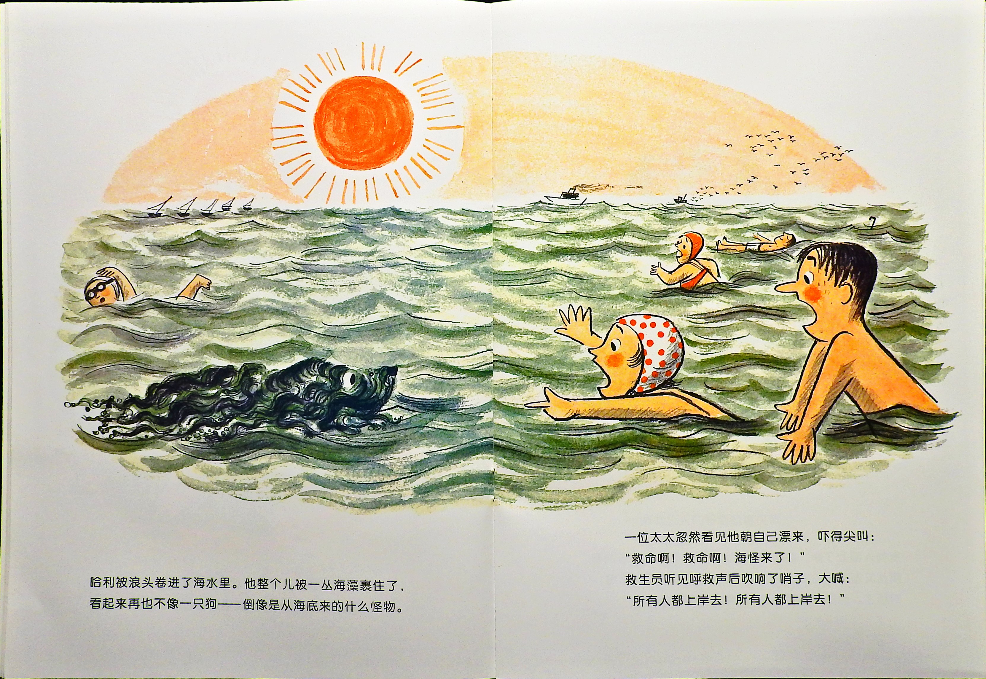 哈利海边历险记 (09),绘本,绘本故事,绘本阅读,故事书,童书,图画书,课外阅读
